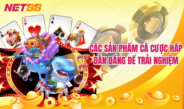 Các sản phẩm cá cược hấp dẫn đáng để trải nghiệm